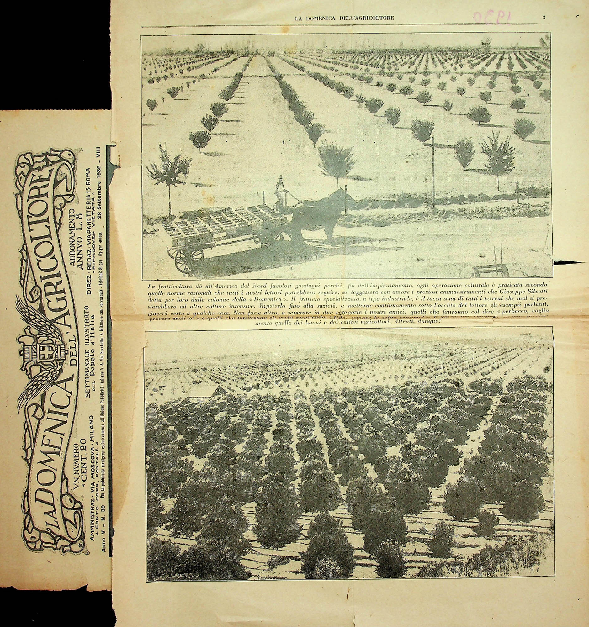 JN – 1930 (28 DE SETTEMBRE) LA DOMENICA DELL_AGRICOLTORE (2)